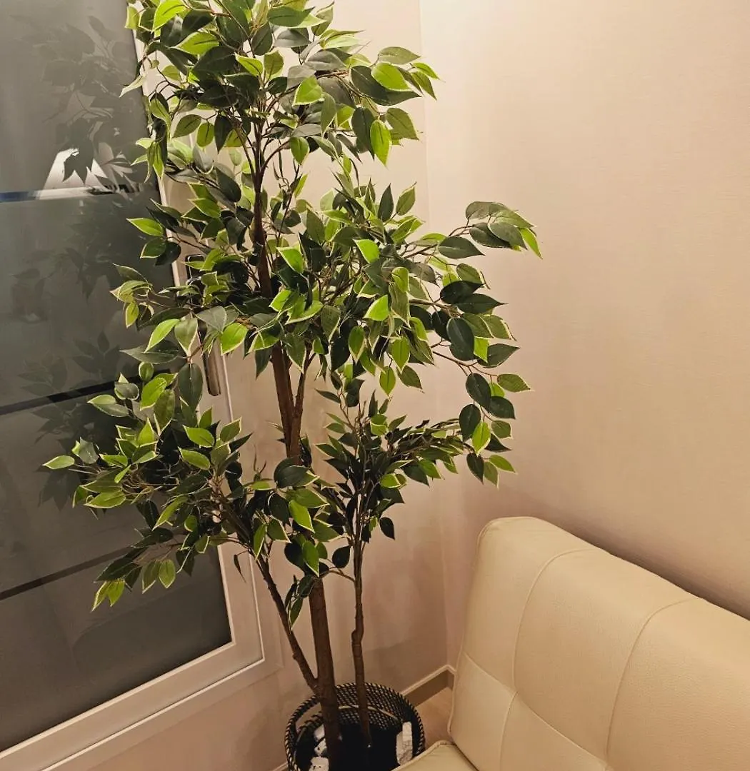 Modern House Apartment Seoul