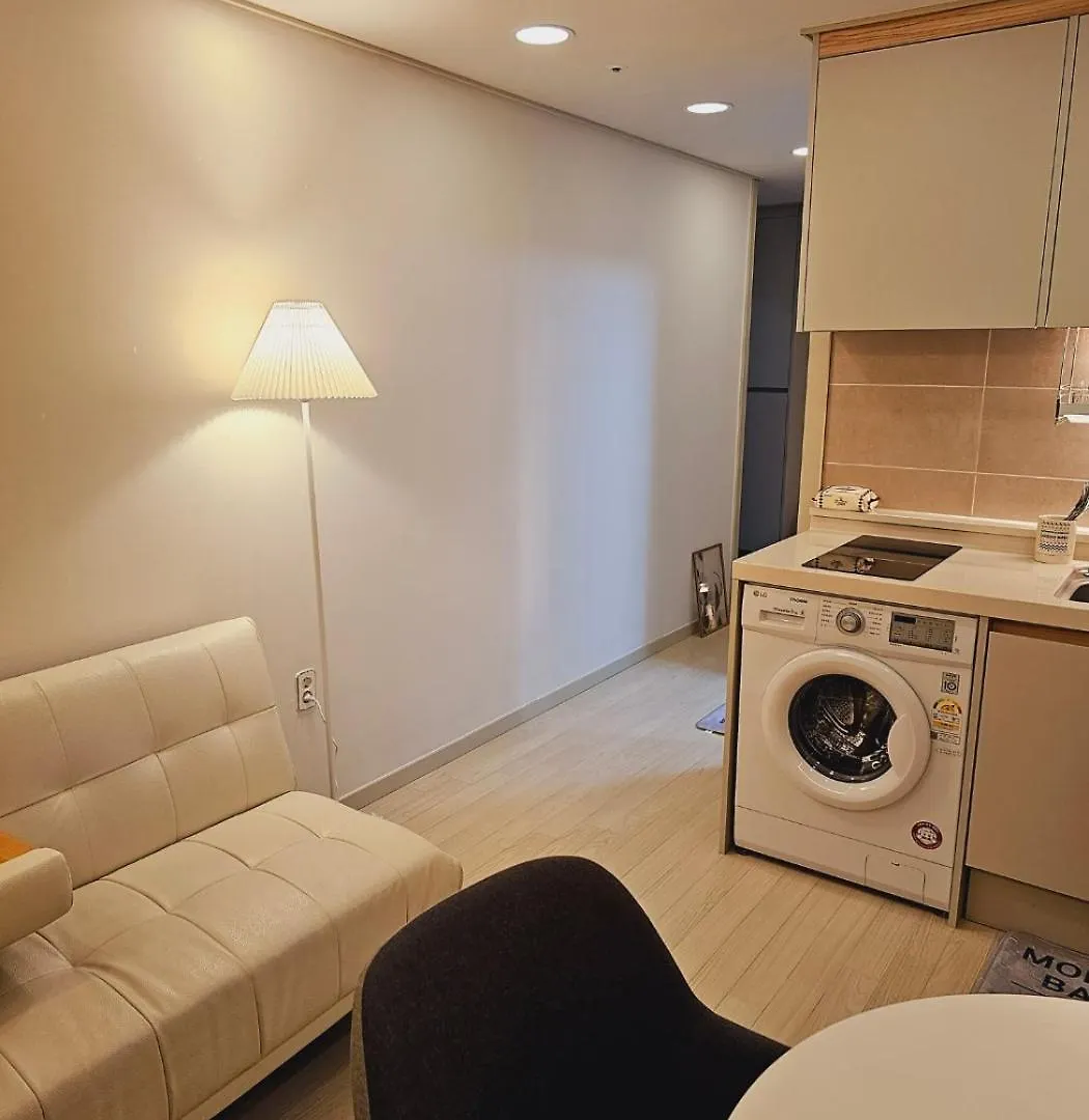 Modern House Apartment Seoul South Korea